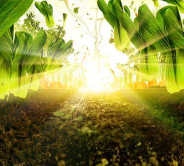 防偽透光燈箱廣告片的設計