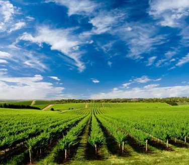 企業(yè)宣傳片的后續(xù)工作要確保專業(yè)